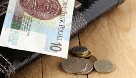 portfel pieniądze banknot 10 zł waluta