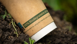 Kubek kartonowy biodegradacja