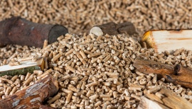 pellet