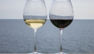 wino kieliszki